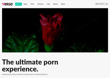 My favorite paid porn site to watch adult flicks for women
